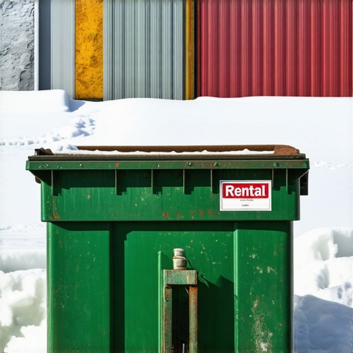 Dumpster Rentals Aurora: 5 Tips for Cold Weather Use